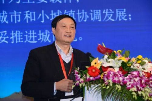 肖金成副會長：十三五時(shí)期的城鎮(zhèn)化與城市群發(fā)展