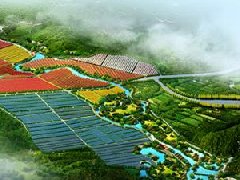 鄭州市工信局：積極構建管城區(qū)、經(jīng)開區(qū)、中牟縣“兩區(qū)一縣”氫燃料電池汽車