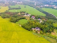 智慧園區(qū)規(guī)劃 | 產(chǎn)業(yè)園區(qū)該如何應(yīng)對(duì)突發(fā)公共事件？