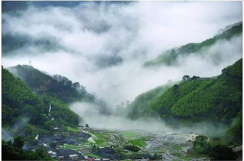 四、農(nóng)村一二三產(chǎn)業(yè)融合發(fā)展先導區(qū)項目