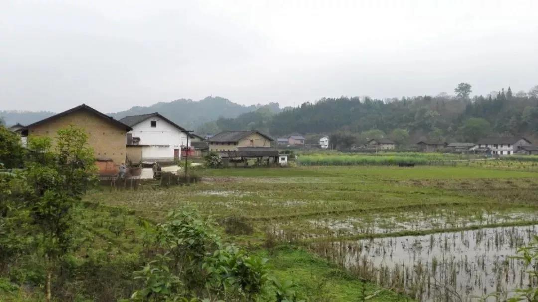農(nóng)村土地確權(quán)結(jié)束，沒登記的四荒地如何處理？