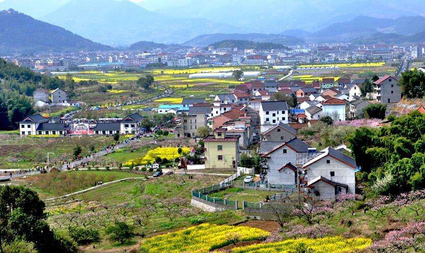 陳文勝：鄉(xiāng)村振興的資本、土地與制度邏輯