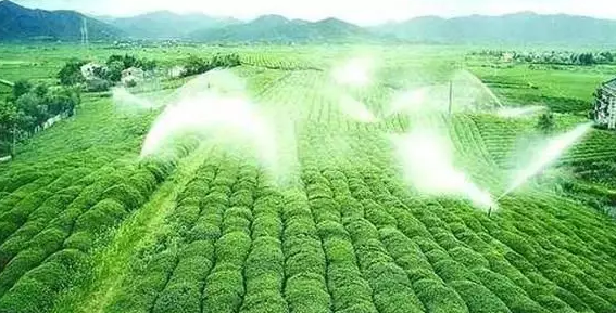 重磅！2019中央一號(hào)文件即將發(fā)布！大農(nóng)業(yè)領(lǐng)域迎來(lái)新機(jī)遇