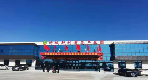 大同黃花，忘憂云州——云州區(qū)積極申創(chuàng)國家農(nóng)業(yè)現(xiàn)代化示范區(qū)
