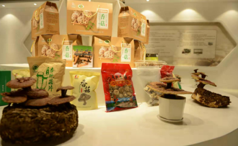 依托蘋果和香菇兩大特色優(yōu)勢產(chǎn)業(yè)，萬榮縣積極申創(chuàng)國家農(nóng)業(yè)現(xiàn)代化示范區(qū)