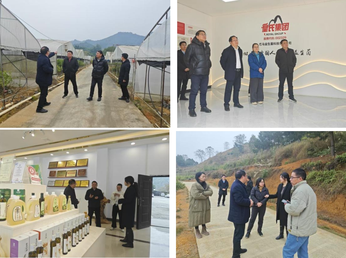 長壽之鄉(xiāng)，逐路之行——高新院專家組一行赴廣西巴馬瑤族自治縣開展河池農(nóng)高區(qū)創(chuàng)建調(diào)研
